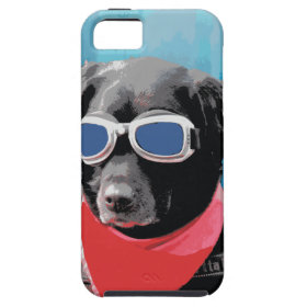 Cool Dog Black Lab Red Bandana Blue Goggles iPhone 5 Covers