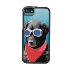 Cool Dog Black Lab Red Bandana Blue Goggles iPhone 5 Cases