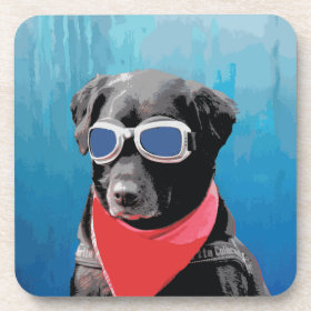 Cool Dog Black Lab Red Bandana Blue Goggles Beverage Coasters
