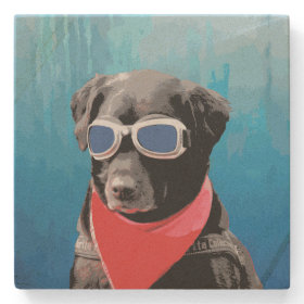 Cool Dog Black Lab Red Bandana Blue Goggles Stone Coaster