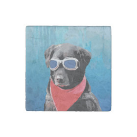 Cool Dog Black Lab Red Bandana Blue Goggles Stone Magnet
