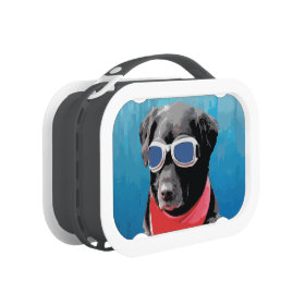 Cool Dog Black Lab Red Bandana Blue Goggles Lunch Box