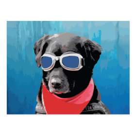 Cool Dog Black Lab Red Bandana Blue Goggles Postcard