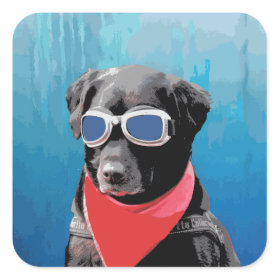Cool Dog Black Lab Red Bandana Blue Goggles Square Stickers