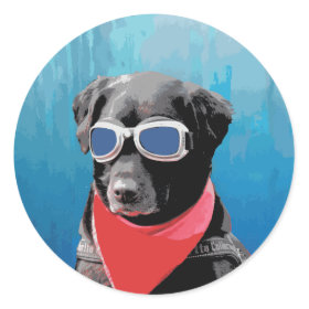 Cool Dog Black Lab Red Bandana Blue Goggles Sticker