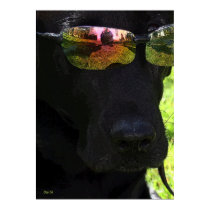 Cool Dog posters by daysrays Cool Dog posters