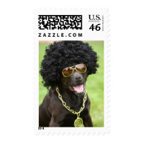 Cool Dog US Postage Stamps by DoggieAvenue Cool Dog US Postage Stamps