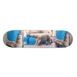 Cool Dude Polar Bear Boar Skate Board Decks