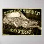 Cool Fish Poster! posters