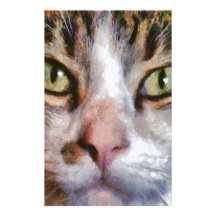 Cool For Cats Customized Stationery