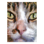Cool For Cats Invitations