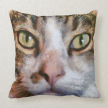 Cool For Cats Pillows