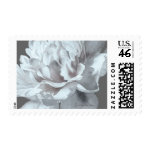Cool Gray Peony Wedding Postage stamp