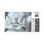 Cool Gray Peony Wedding Postage postage