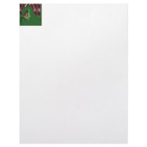 Cool Green And Red Dragon letterhead