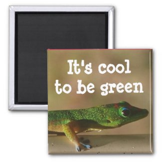 Cool Green Gecko magnet