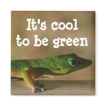 Cool Green Gecko magnets