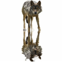 Cool Grey Wolf Wildlife Gift Item Photo Sculptures