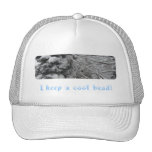 Cool Head! Hat