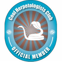 Cool Herpetologists Club photo sculptures by busybees Cool Herpetologists Club photo sculptures