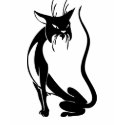 COOL HIP BLACK CAT T SHIRT