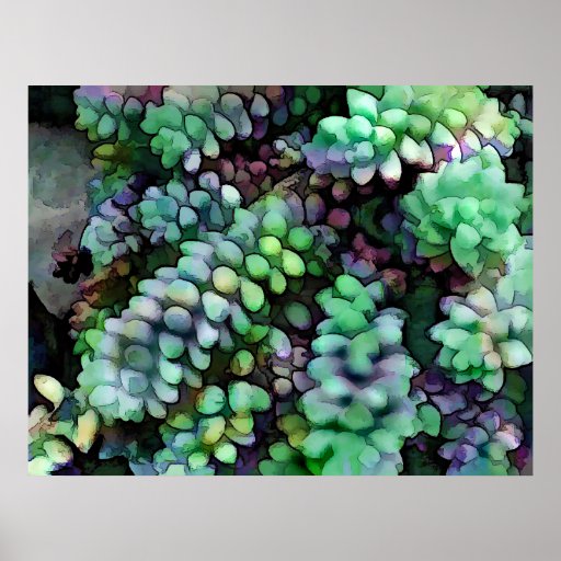 Cool Hued Burro's Tails in the Hot Desert Poster