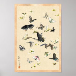 Cool japanese vintage ukiyo-e butterfly scroll posters