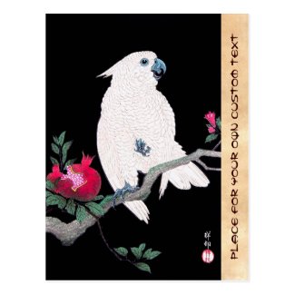 Cool japanese white cockatoo parrot tropical bird postcards