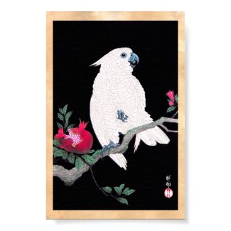 Cool japanese white cockatoo parrot tropical bird poster