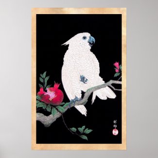Cool japanese white cockatoo parrot tropical bird poster
