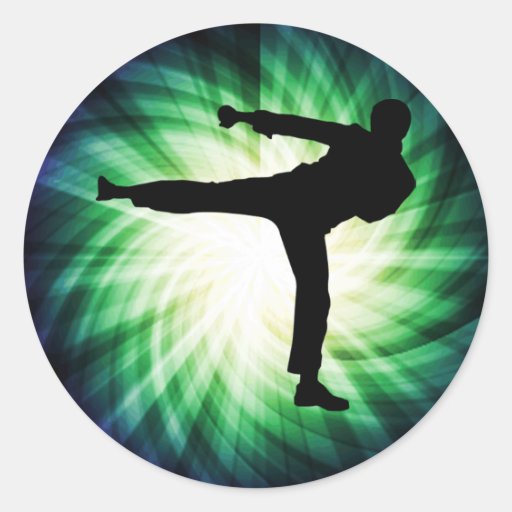 7,000+ Karate Stickers and Karate Sticker Designs | Zazzle