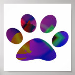 cool kat_Framed pictures posters