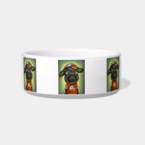Cool Kid in the City pet bowls