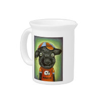 Cool Kid in the City pitchers