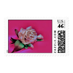 Cool Love postage stamps