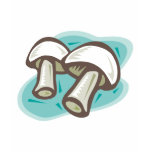 cool mushrooms