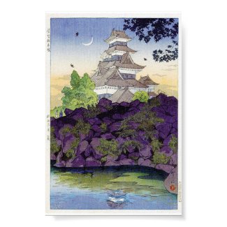 Cool oriental japanese Ancient Castle Palace art Posters