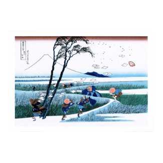 Cool oriental japanese Hokusai Fuji View landscape Posters