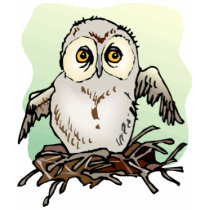 Cool Owl Tees t-shirts by naturetees Cool Owl Tees t-shirts