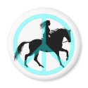 Cool peace symbol horse rider magnets