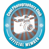 Cool Photographers Club photo sculptures