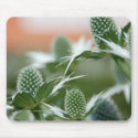 Cool Plant Mousepad by pulsDesign Cool Plant Mousepad