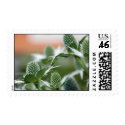 Cool Plant Postage postage
