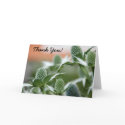 Cool Plant Thank You Card by pulsDesign Cool Plant Thank You Card