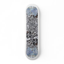Cool Ride skateboards