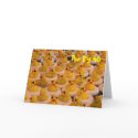 Cool Rubber Duckies 40th Birthday Greeting Card by SmilinEyesTreasures Cool Rubber Duckies 40th Birthday Greeting Card