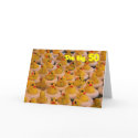 Cool Rubber Duckies 50th Birthday Greeting Card card