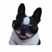 cool shades photo sculptures