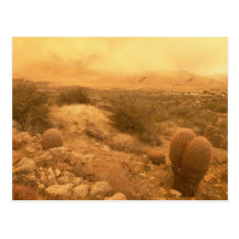 Cool storm- post card