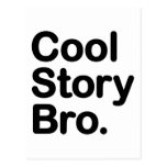 Cool Story Bro. Postcard